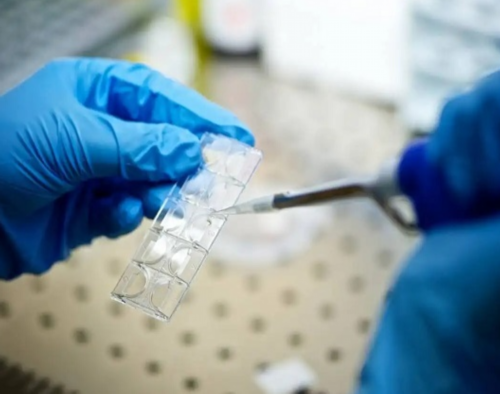 绝经后能否进行试管婴儿助孕？最新热点解析与代生机构选择指南