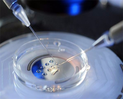 试管代怀流程时长与费用详解-助孕代生费用预估