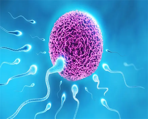 试管前检查费用能否医保报销？