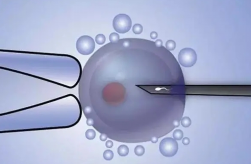 国内优质代怀助孕医院及试管婴儿机构推荐指南