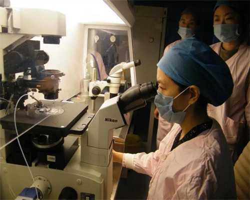 试管D2检测：排卵功能评估与高值应对指南