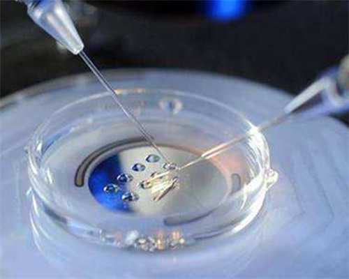 试管代怀费用与卵泡发育改善策略