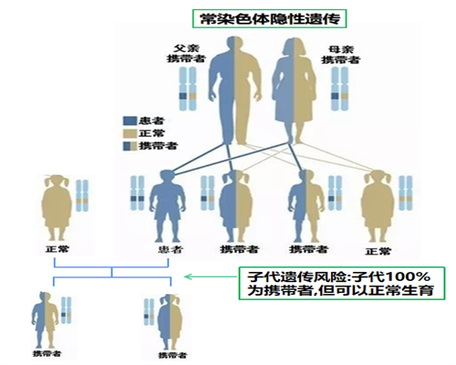 试管代生探宫费用解析及注意事项