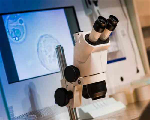 公立试管代生费用咨询与预算指南