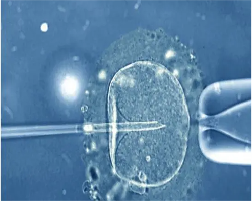输卵管堵塞能否通过试管婴儿实现怀孕