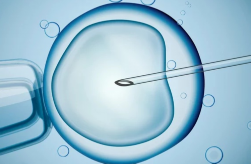 染色体异常胎停应对与金斯利安多维片孕期使用指南