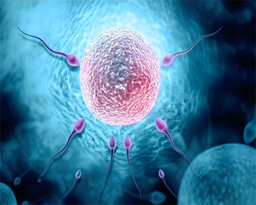夫妻染色体正常胚胎异常原因与试管助孕解决方案