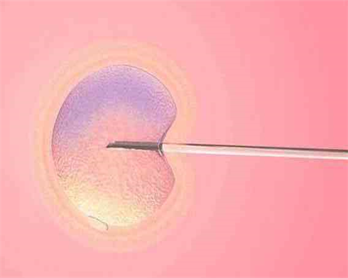 输卵管造影后多久可以怀孕？正规医院代生与代怀指南